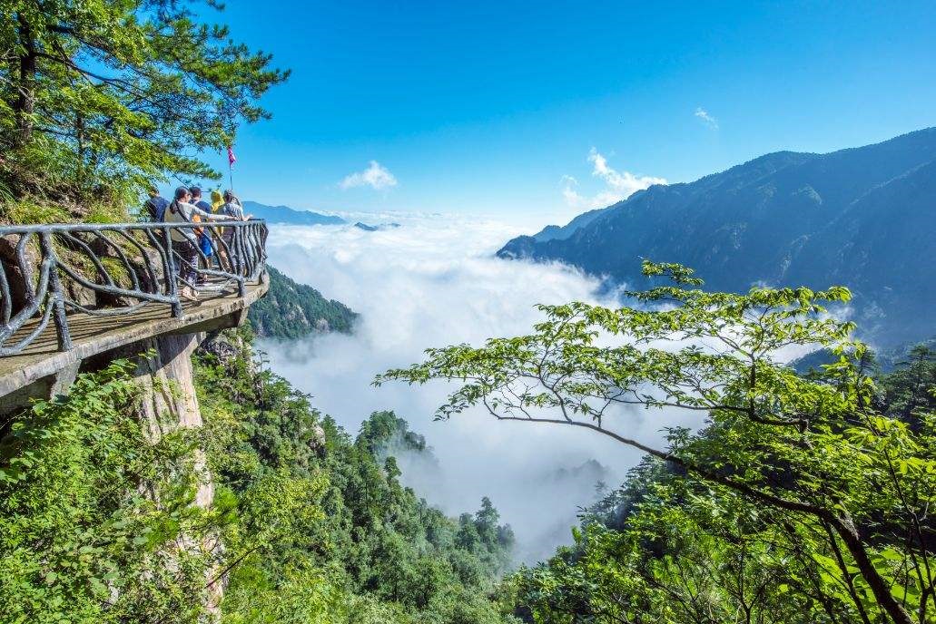 南宁大明山一日游【豪华独立包车游】