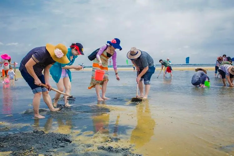 金海湾红树林赶海