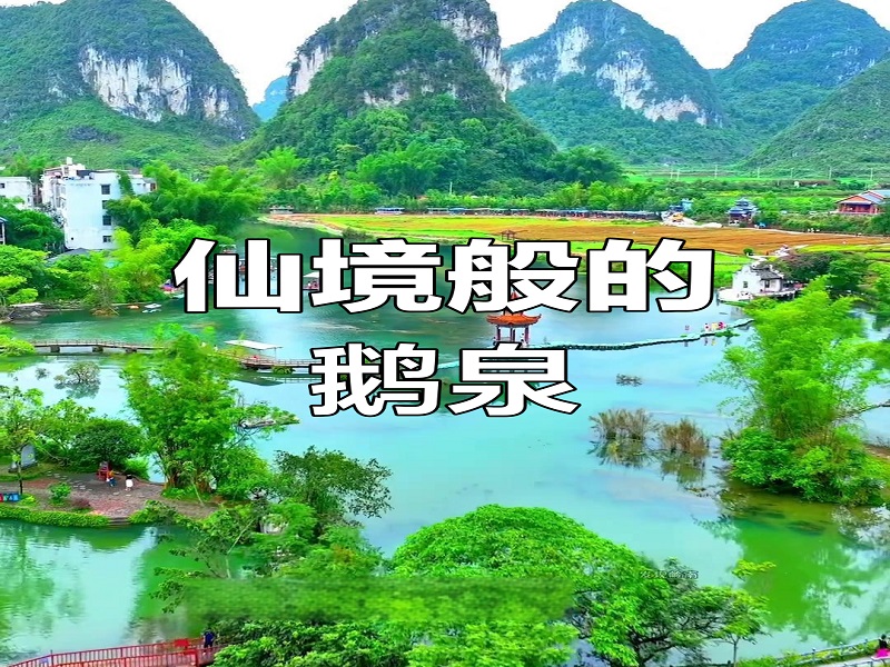 鹅泉