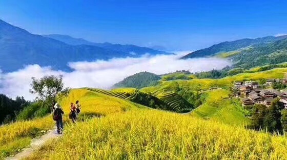 龙脊梯田