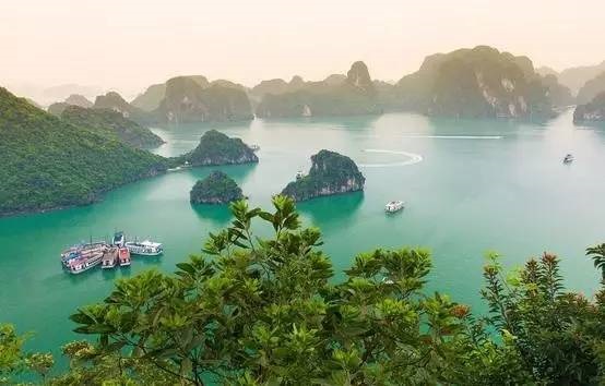 迷宫仙境