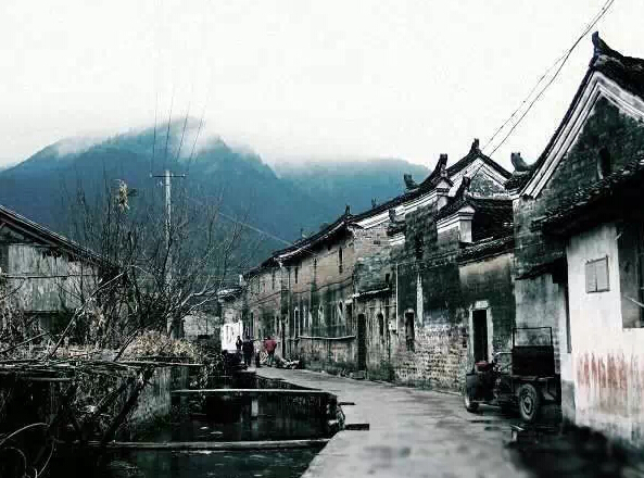 长满了青苔的墙,加深了岁月的痕迹