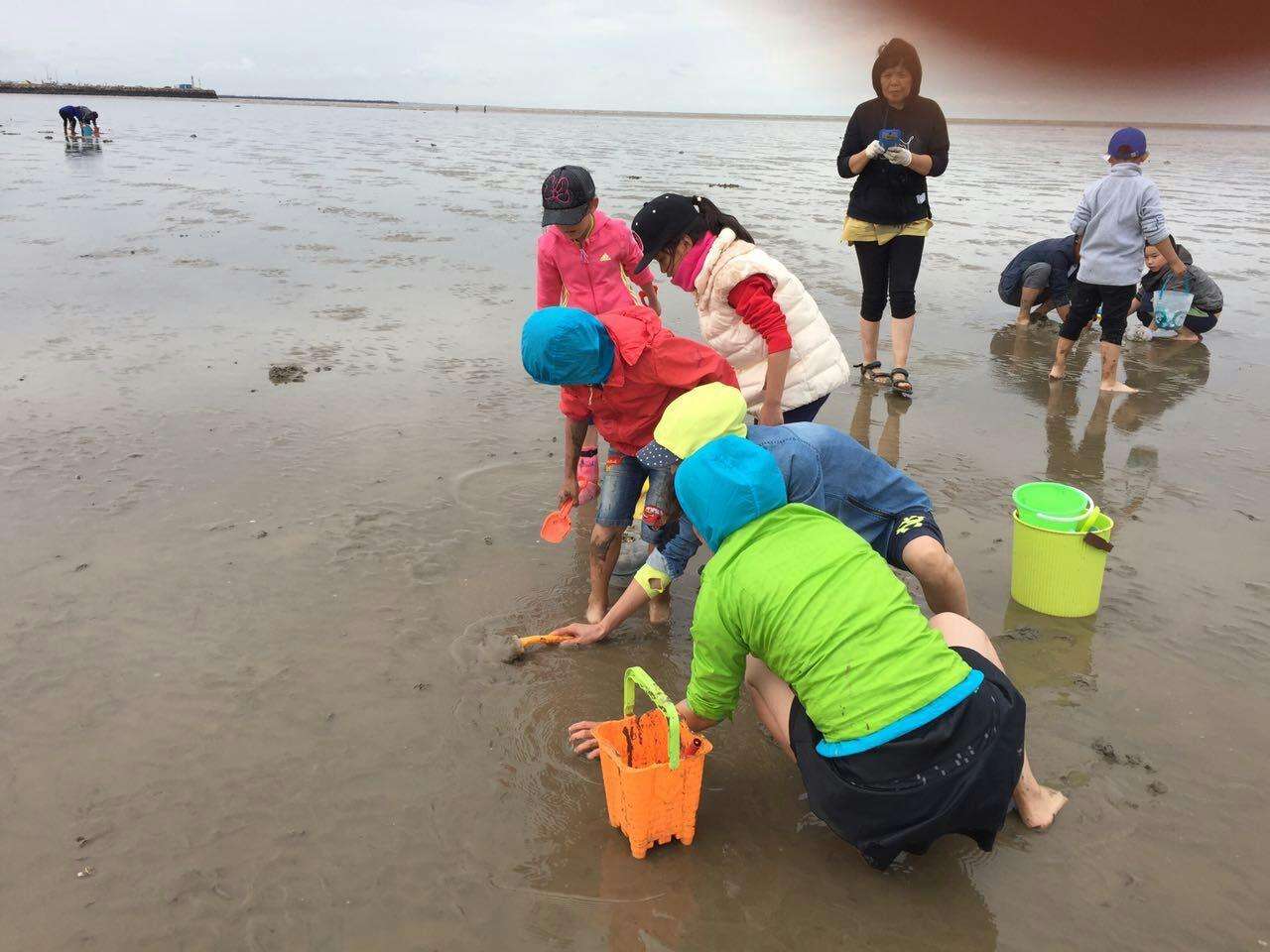赶海
