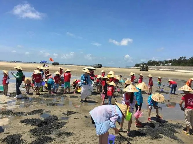 恒大赶海