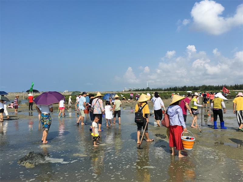 趣味赶海