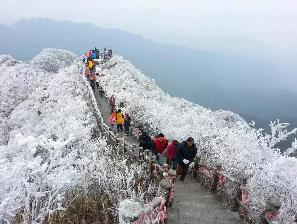 大明山雾凇