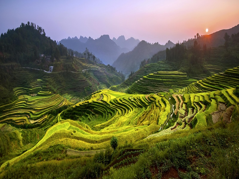 巴泽梯田