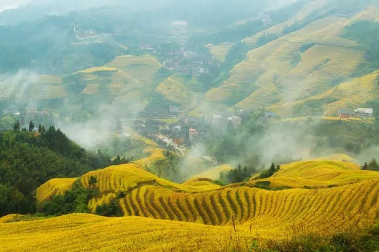 龙脊梯田