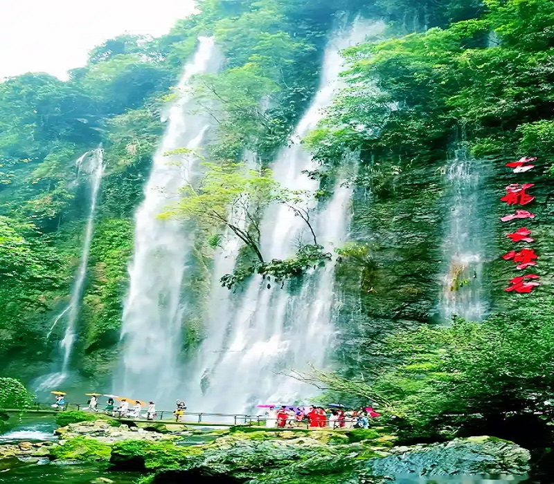 德天跨国瀑布•古龙山峡谷•巴马长寿村 3天2晚游【无购物店】